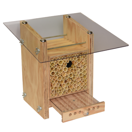 13595-BeeHome-Observer.png